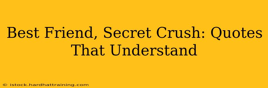 Best Friend, Secret Crush: Quotes That Understand