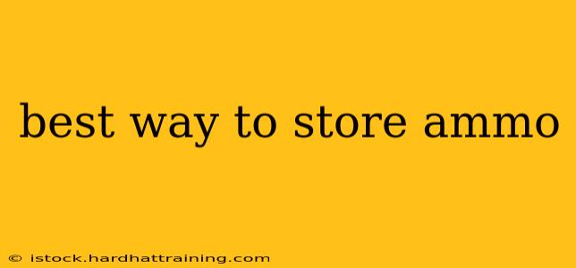 best way to store ammo