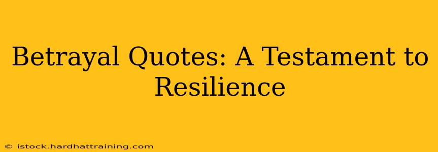 Betrayal Quotes: A Testament to Resilience
