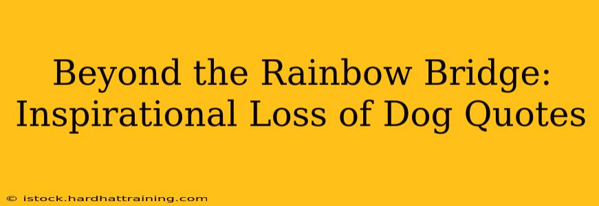 Beyond the Rainbow Bridge: Inspirational Loss of Dog Quotes