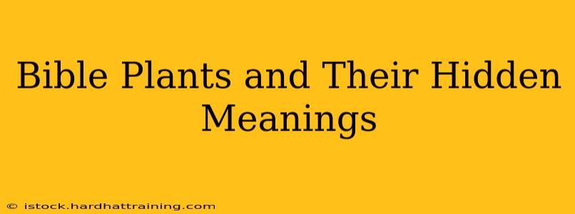 Bible Plants and Their Hidden Meanings