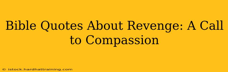 Bible Quotes About Revenge: A Call to Compassion