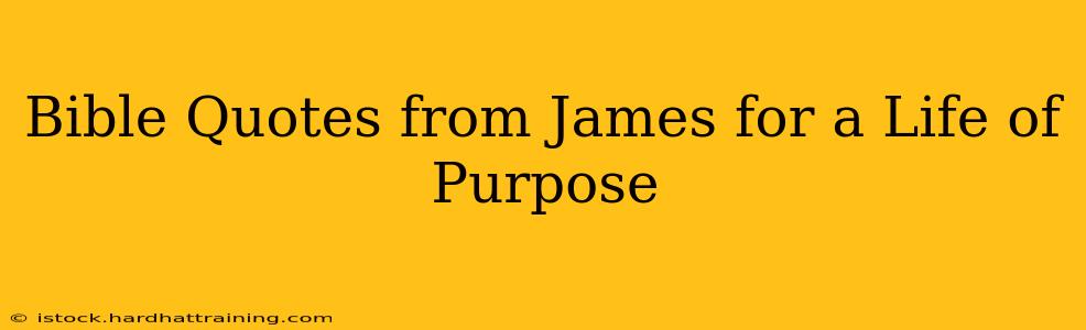 Bible Quotes from James for a Life of Purpose