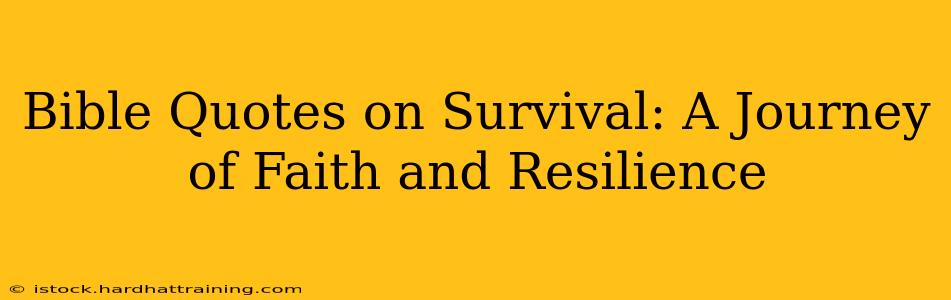 Bible Quotes on Survival: A Journey of Faith and Resilience