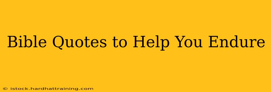 Bible Quotes to Help You Endure