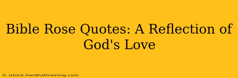 Bible Rose Quotes: A Reflection of God's Love