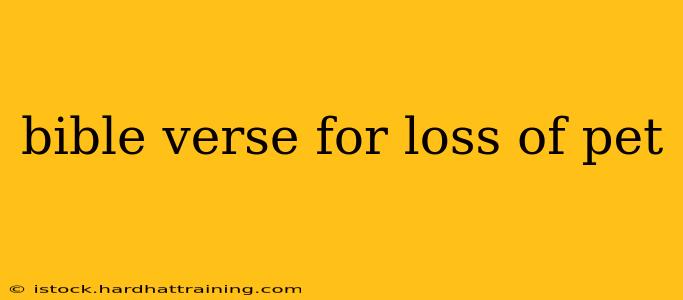 bible verse for loss of pet