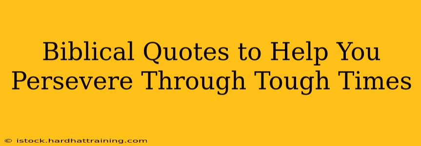Biblical Quotes to Help You Persevere Through Tough Times