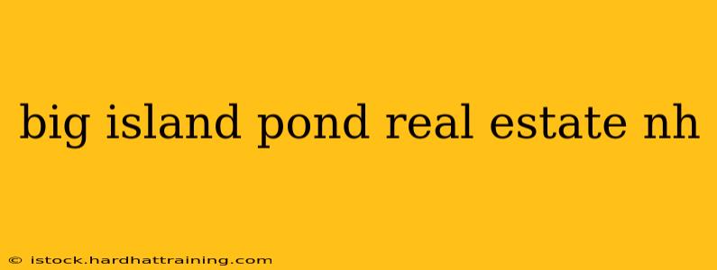 big island pond real estate nh