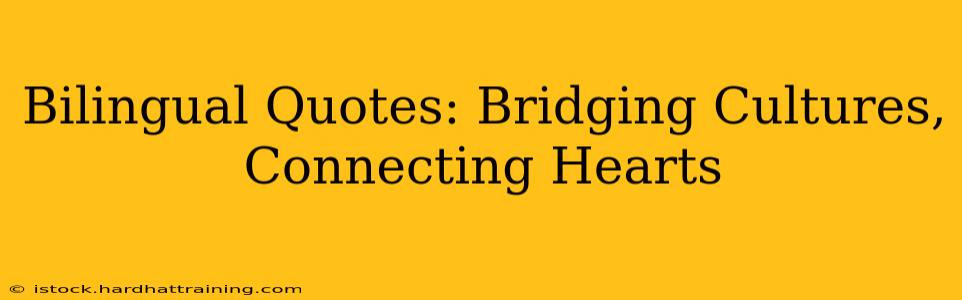 Bilingual Quotes: Bridging Cultures, Connecting Hearts