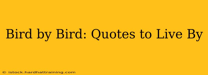 Bird by Bird: Quotes to Live By