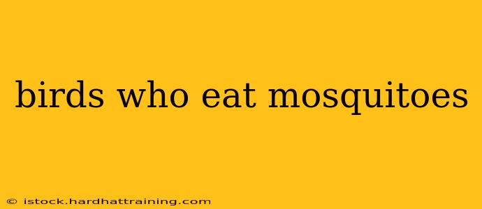 birds who eat mosquitoes