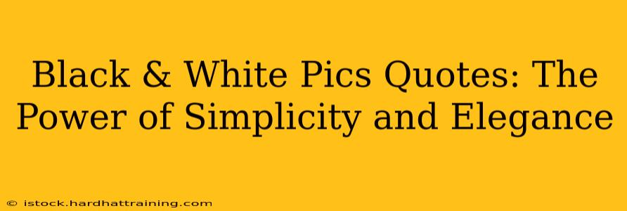 Black & White Pics Quotes: The Power of Simplicity and Elegance