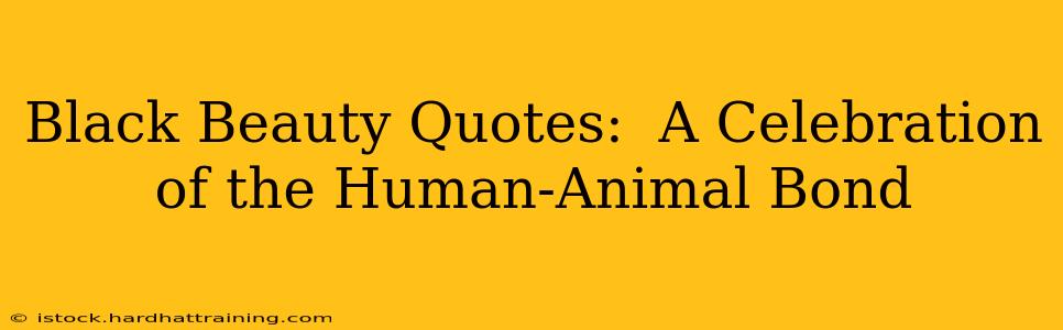 Black Beauty Quotes:  A Celebration of the Human-Animal Bond