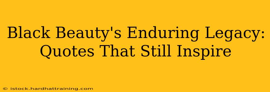 Black Beauty's Enduring Legacy: Quotes That Still Inspire