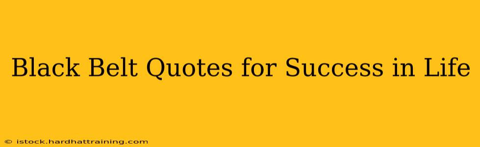Black Belt Quotes for Success in Life