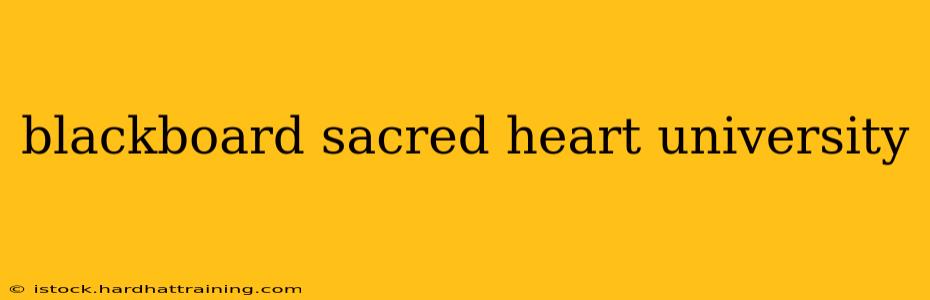 blackboard sacred heart university