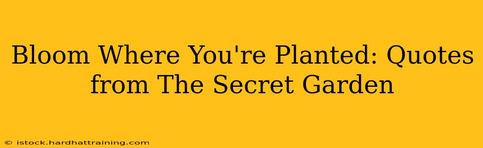 Bloom Where You're Planted: Quotes from The Secret Garden