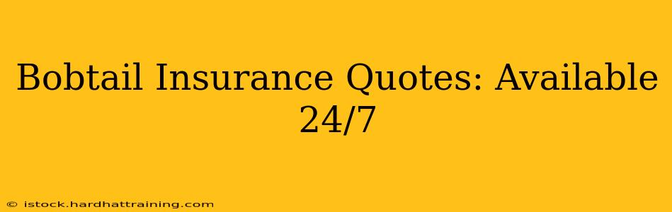 Bobtail Insurance Quotes: Available 24/7