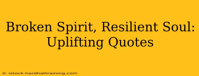 Broken Spirit, Resilient Soul: Uplifting Quotes
