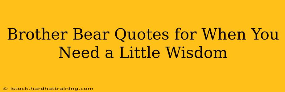 Brother Bear Quotes for When You Need a Little Wisdom