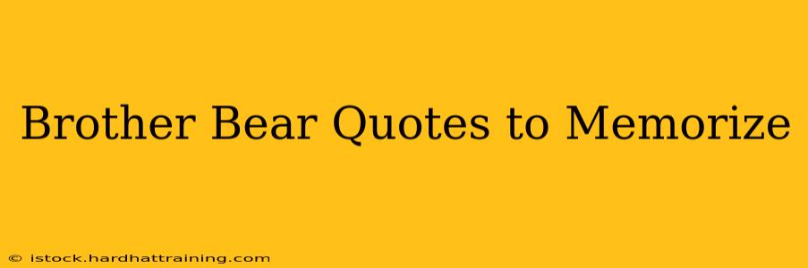 Brother Bear Quotes to Memorize