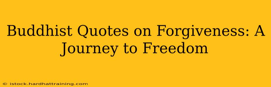 Buddhist Quotes on Forgiveness: A Journey to Freedom