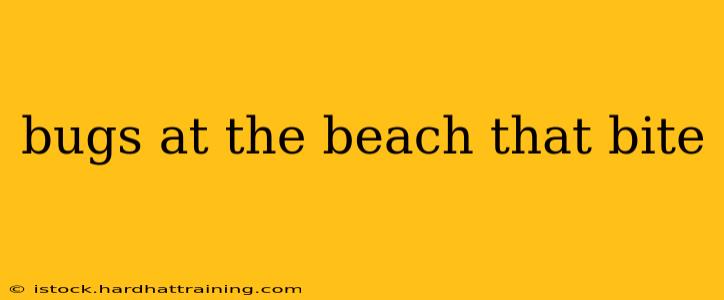 bugs at the beach that bite