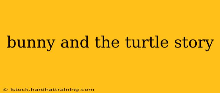 bunny and the turtle story
