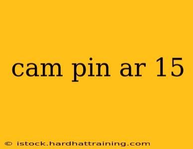 cam pin ar 15