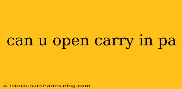 can u open carry in pa