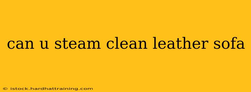 can u steam clean leather sofa