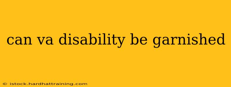 can va disability be garnished