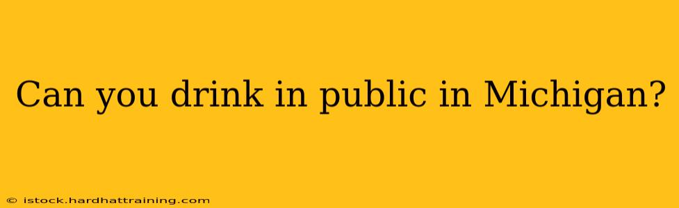 Can you drink in public in Michigan?
