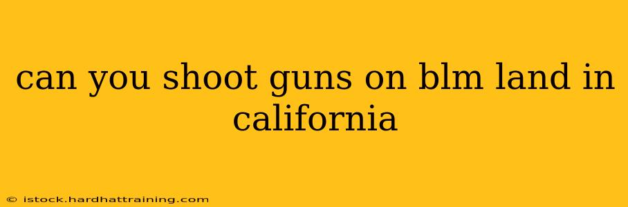 can you shoot guns on blm land in california
