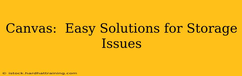 Canvas:  Easy Solutions for Storage Issues
