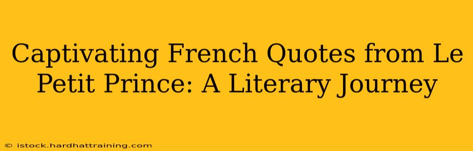 Captivating French Quotes from Le Petit Prince: A Literary Journey