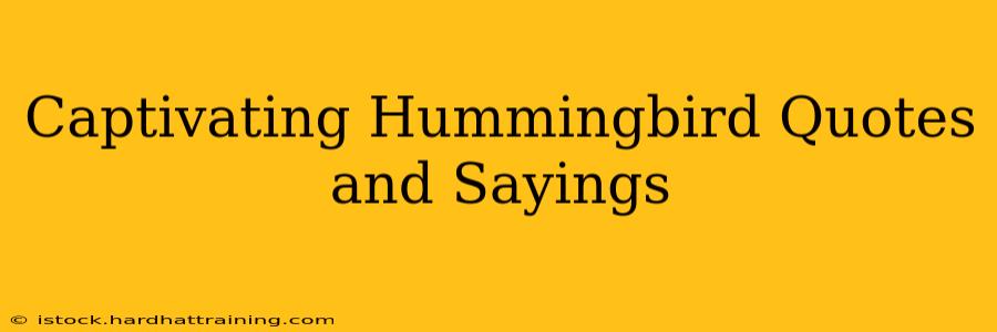 Captivating Hummingbird Quotes and Sayings