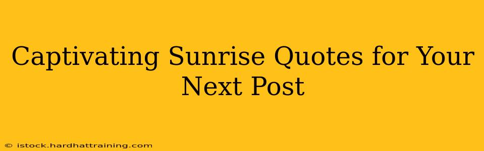 Captivating Sunrise Quotes for Your Next Post