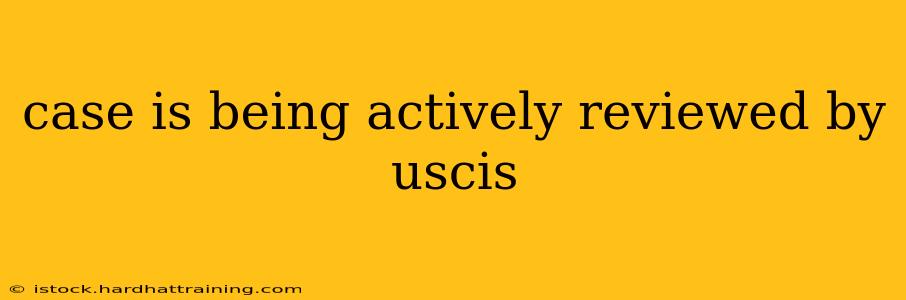 case is being actively reviewed by uscis