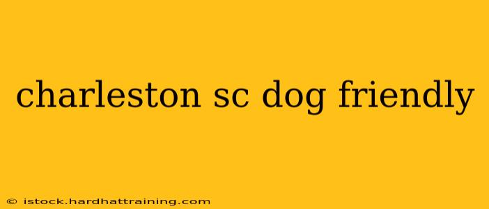 charleston sc dog friendly