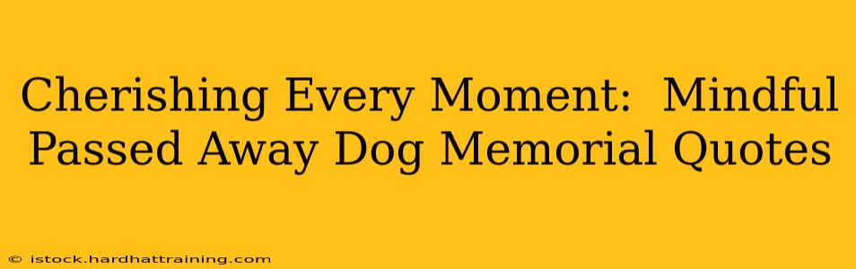 Cherishing Every Moment:  Mindful Passed Away Dog Memorial Quotes
