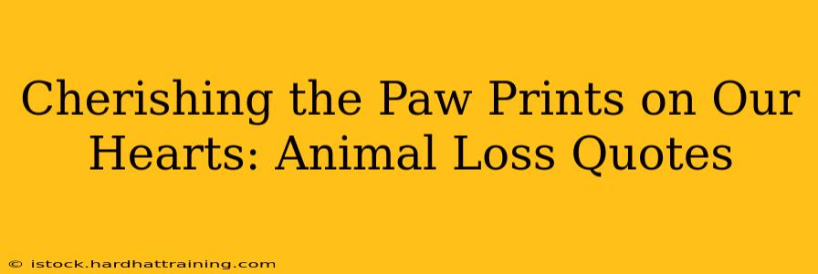 Cherishing the Paw Prints on Our Hearts: Animal Loss Quotes