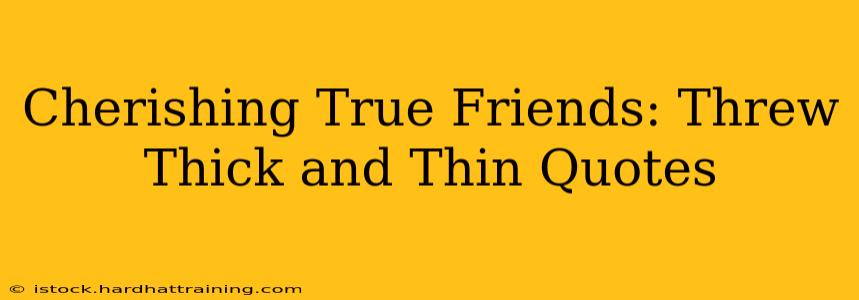 Cherishing True Friends: Threw Thick and Thin Quotes