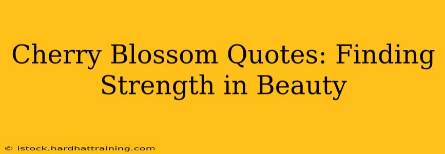 Cherry Blossom Quotes: Finding Strength in Beauty