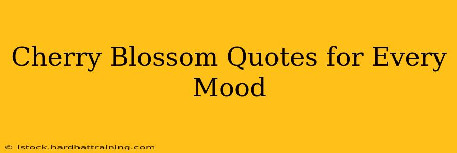 Cherry Blossom Quotes for Every Mood