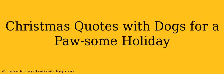 Christmas Quotes with Dogs for a Paw-some Holiday