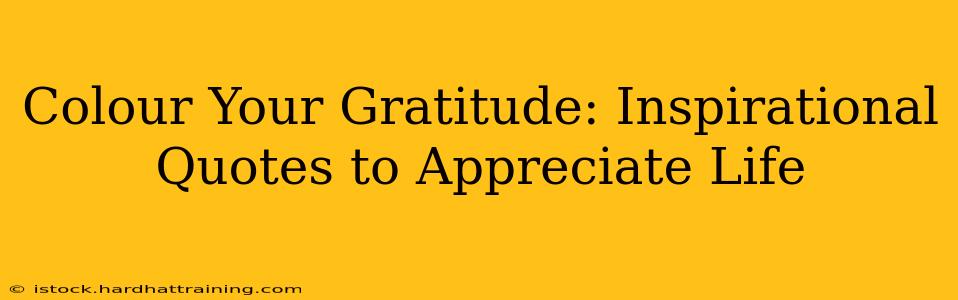 Colour Your Gratitude: Inspirational Quotes to Appreciate Life