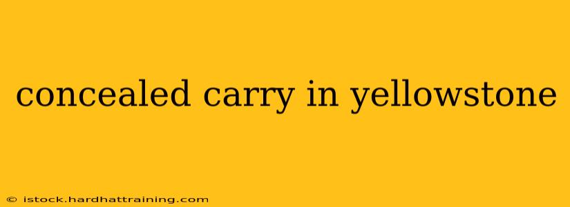 concealed carry in yellowstone