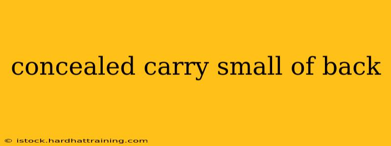 concealed carry small of back
